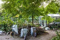 Wheelbarrows stored in garden. 
