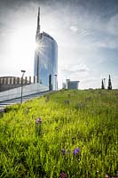 View up bank with meadow planting in public park, cityscape beyond 