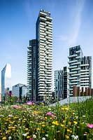 View across meadow in public park, with cityscape of Porta Nuova building complex in background 