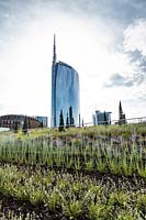 Bank planted with young perennials in a public park, cityscape beyond 