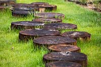 Path of cut log circles on grass 