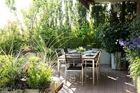 The dining area enclosed with screen on planted containers. A mix of shrubs, perennials and ornamental grasses, mostly foliage but with Agapanthus in flower