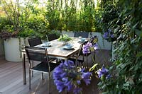 The decked dining area with a living screen of foliage plants in troughs and containers, Agapanthus in flower 