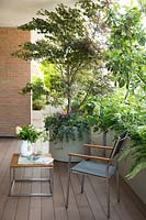 A corner of decked terrace with table and chair by a round container with Acer palmatum 'Crispifolium' and foliage underplanting