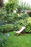 Small lawn with deckchair in front of Hydrangea quercifolia, fence with plant screening beyond 