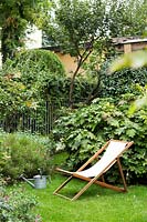 Small garden with lawn, deckchair by Hydrangea quercifolia with fence and plant screening beyond 