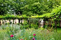 View over flower beds to a pergola covered by Vitis - Vine