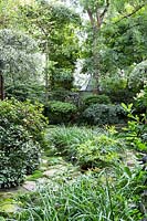 A combination of natural and pruned shrubs makes for an intriguing oasis of shade