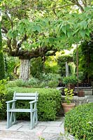 Relaxing area with scented mixed planting, evergreen shrubs and mulberry trees.	