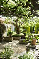 Terrace with scented planting, evergreen shrubs and Mulberry trees.