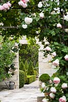 View through climbing roses to entrance to topiary garden