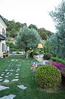 View along lawn with paved stepping stones, seating and Olea europaea - Olive - tree near house 