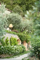 The facade of the house between cypresses and rosemary, agapanthus and olive trees. solanum jasminoides on the wall