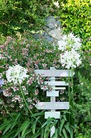 A decorative signpost in the garden amongst shrubs