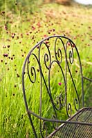Metal bench against row of cut flowers 