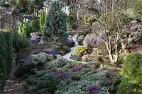 The Heather Garden, overview with path through banks of Heather with trees