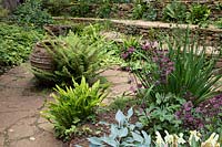 Large empty pot near ferns in the Woodland garden, in foreground a bed with Hosta, Astrantia 