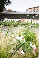 Bed of Rudbeckia, Stipa and other perennials and grasses, with view of bridge beyond 