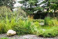 Natural swimming pool with marginal planting and gravel edge