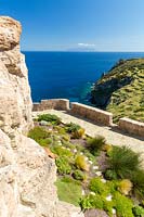 Forte San Giorgio gardens: mixed mediterranean shrubs planted in coastal garden