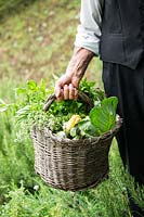 Gardener carrying basket of harvested vegetables and herbs.  