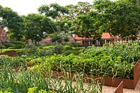 Corten steel vegetable beds in large modern country garden 