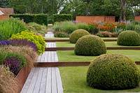 Modern formal country garden, view along decked path with lawn divided by corten edging and topiary domes on one side and perennial bed on the other