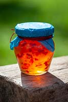 Bramley apple and chilli jelly in a jar