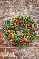 Wreath hanging on old red brick wall with holly, crab apples, fir cones, ivy, guelder rose berries and hydrangeas