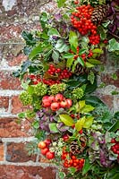 Christmas wreath hanging on old red brick wall with holly, crab apples, fir cones, ivy, guelder rose berries and hydrangeas