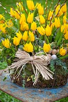 Basket of yellow Tulipa - Tulip, pussy willow and Ivy with raffia and eggs