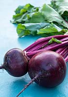 Two glossy, fresh beetroot, a root crop.