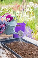 Woman using watering can to add moisture to compost mix in tray. 