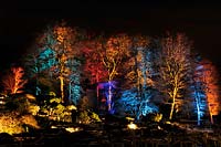 Multicoloured uplighting on trees in The Rock Garden at RHS Wisley Lumiere. 