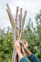 Close up detail of hands tying together hazel poles with string to make a wigwam 