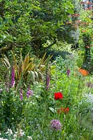View of a long narrow town garden in Cambridge. Serpentine path, old apple tree, Cercis canadensis 'Forest Pansy', erysimum, phormiums, lilies, irises, fig tree.