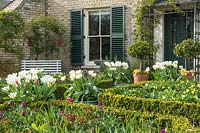 Cottage garden in spring with box edging, wallflowers and tulips, bay trees and polyanthus in containers. Tulip 'Apricot Beauty', 'Exotic Emperor' and 'Purissima'.