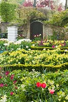 Garden in spring with wallflowers and tulips. Beehive and box edging. Tulipa 'Apricot Beauty', 'Exotic Emperor', 'Purissima', 'Flaming Spring Green', 'Spring Green',  'Jan Reus' and 'Ronaldo' in containers with polyanthus.
