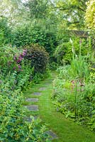 Stepping stones along grass path in with flower beds either side, plants include: Rosa - Rose, ferns, Physocarpus opulifolius 'Diabolo' and Digitalis - Foxglove