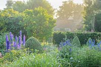 View towards house across walled garden with herbaceous perennials including delphiniums, thalictrum, cynara box topiary and beech hedge.