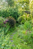 Stepping stones along grass path in spring garden with roses, ferns, Physocarpus opulifolius 'Diabolo' and foxgloves.