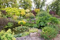 Natural sunken pond with aquatic and marginal planting, surrounded by bank of mixed planting 