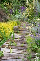 Wooden walkway by natural pond with marginal planting and mixed border