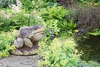 Wooden frog sculpture and Alchemilla mollis by natural pond 