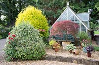 Greenhouse with a gravel area in front with shrubs and small pots containing Heuchera, Acer palmatum and fern 