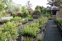 View across the nursery showing the sales area with rows of potted plants