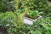 A recycled white sink planted with Hosta surrounded by other shade-loving foliage plants