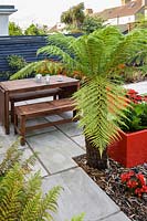 Modern Town Garden  - wooden table and benches, red planters with gerbera and tree fern