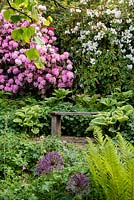 Alliums, Hostas and Rhododendrons by an old wooden bench