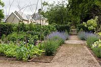 The Kitchen Garden and path leading to driveway. 